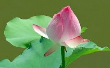 An ủi lớn nhất của đời người là bố thí